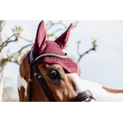 Bonnet Wellington Kentucky