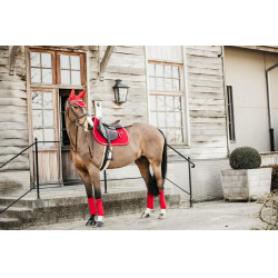 Bonnet Wellington Velvet Kentucky Rouge