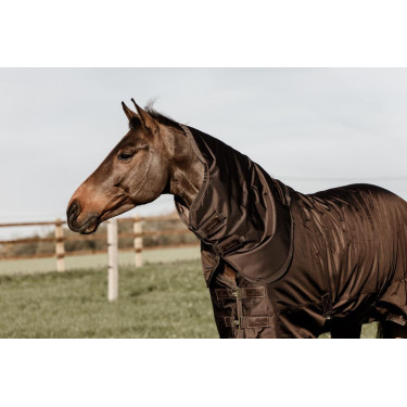 All Weather waterdichte buitenafdekking Pro Kentucky Bruin