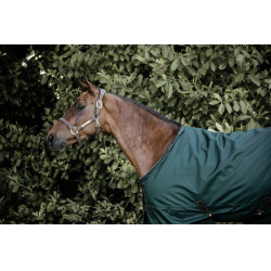 Couverture d'extérieur All Weather imperméable Pro Kentucky Vert foncé Couverture d'extérieur All Weather imperméable Pro Kentucky Vert foncé