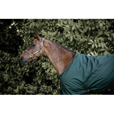 Couverture d'extérieur All Weather imperméable Pro Kentucky Vert foncé Couverture d'extérieur All Weather imperméable Pro Kentucky Vert foncé