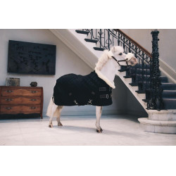 Couverture de présentation Kentucky Noir