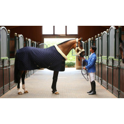 Presentatiehoes Kentucky Marineblauw