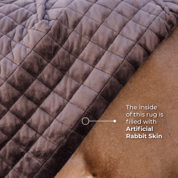 Couverture de présentation Kentucky Bleu marine