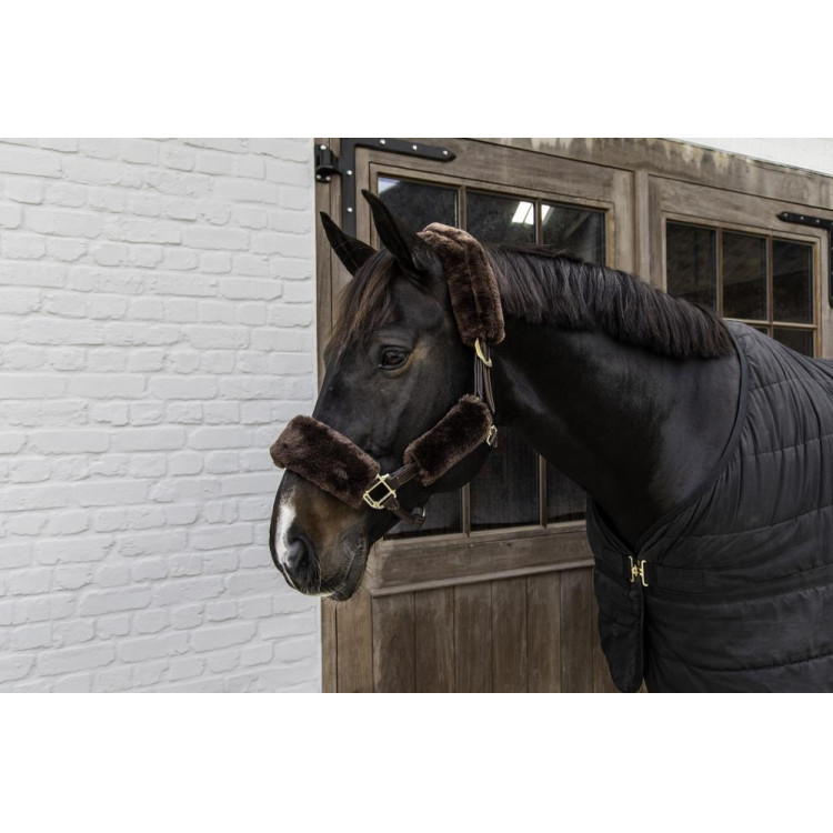 Fourreau en mouton pour Licol 4 pièces Kentucky Fourreau en mouton pour Licol 4 pièces Kentucky