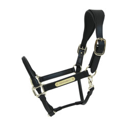 Licol Anatomique Cuir Kentucky Noir