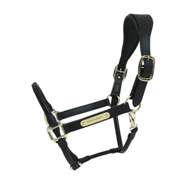 Licol Anatomique Cuir Kentucky Noir