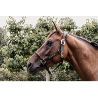 Licol Anatomique Cuir Kentucky Noir Licol Anatomique Cuir Kentucky Noir