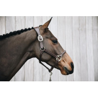Anatomisch Lederen Halster Kentucky Bruin