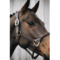 Licol Anatomique Cuir Kentucky Marron Licol Anatomique Cuir Kentucky Marron