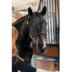 Licol Anatomique Cuir Kentucky Marron Licol Anatomique Cuir Kentucky Marron