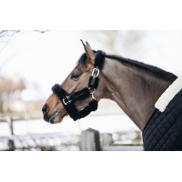 Licol de transport mouton Kentucky Noir Licol de transport mouton Kentucky Noir