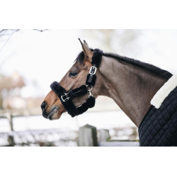 Licol de transport mouton Kentucky Noir Licol de transport mouton Kentucky Noir
