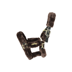 Licol de transport mouton Kentucky Marron