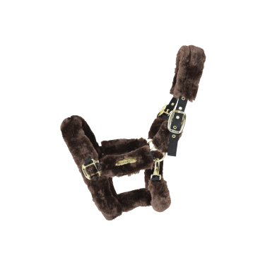 Transporthalster schaap Kentucky Transporthalster schaap Kentucky