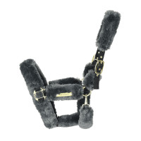 Licol de transport mouton Kentucky Gris Licol de transport mouton Kentucky Gris