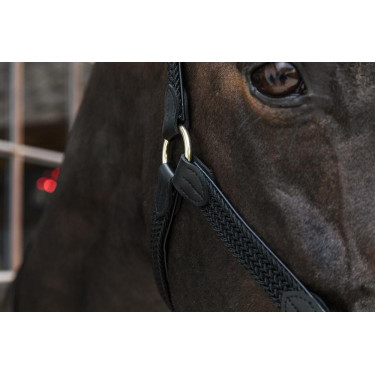 Gevlochten Nylon Halster Kentucky Zwart