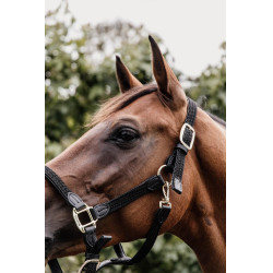 Licol Plaited Nylon Kentucky Noir Licol Plaited Nylon Kentucky Noir