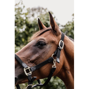 Licol Plaited Nylon Kentucky Noir Licol Plaited Nylon Kentucky Noir