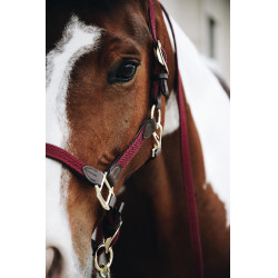 Licol Plaited Nylon Kentucky Bordeaux