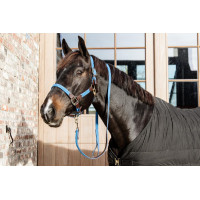 Gevlochten Nylon Halster Kentucky Lichtblauw Gevlochten Nylon Halster Kentucky Lichtblauw