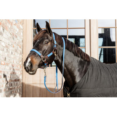 Gevlochten Nylon Halster Kentucky Lichtblauw Gevlochten Nylon Halster Kentucky Lichtblauw