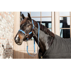 Licol Plaited Nylon Kentucky Bleu clair