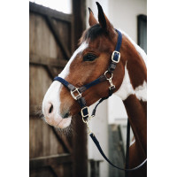 Licol Plaited Nylon Kentucky Bleu marine