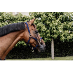 Licol Plaited Nylon Kentucky Bleu marine