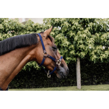 Licol Plaited Nylon Kentucky Licol Plaited Nylon Kentucky