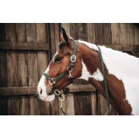 Licol Plaited Nylon Kentucky Vert olive Licol Plaited Nylon Kentucky Vert olive