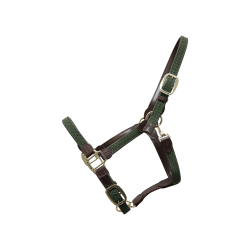 Licol Plaited Nylon Kentucky Vert olive