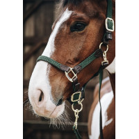 Licol Plaited Nylon Kentucky Vert olive Licol Plaited Nylon Kentucky Vert olive