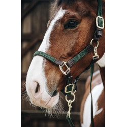 Licol Plaited Nylon Kentucky Vert olive