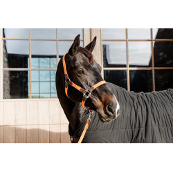Licol Plaited Nylon Kentucky