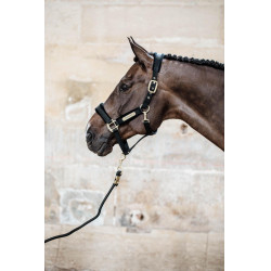 Licol Velvet Kentucky Noir