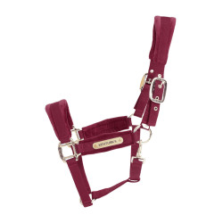 Licol Velvet Kentucky Bordeaux