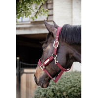 Velvet Halster Kentucky Zwart