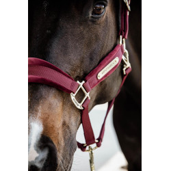 Licol Velvet Kentucky Bordeaux