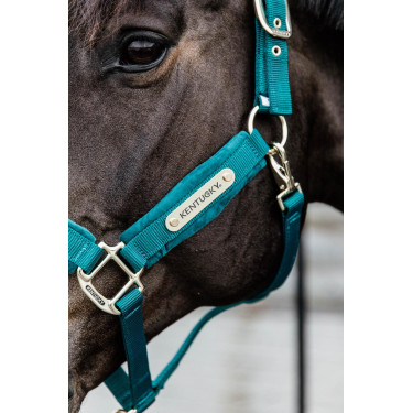 Velvet Halster Kentucky Smaragd Groen Velvet Halster Kentucky Smaragd Groen