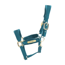 Velvet Halster Kentucky Smaragd Groen Velvet Halster Kentucky Smaragd Groen