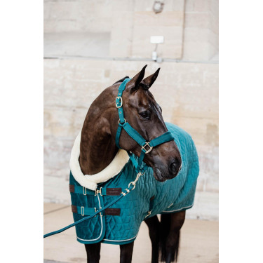 Licol Velvet Kentucky Licol Velvet Kentucky