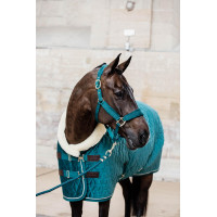 Velvet Halster Kentucky Zwart Velvet Halster Kentucky Zwart