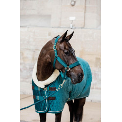 Velvet Halster Kentucky Smaragd Groen Velvet Halster Kentucky Smaragd Groen