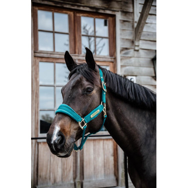 Licol Velvet Kentucky Licol Velvet Kentucky
