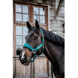 Velvet Halster Kentucky Smaragd Groen Velvet Halster Kentucky Smaragd Groen