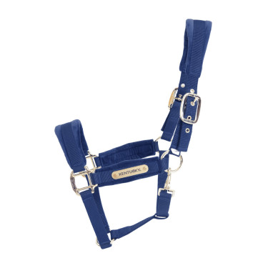 Licol Velvet Kentucky Bleu marine