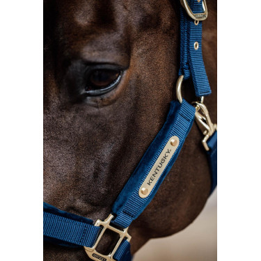 Licol Velvet Kentucky Licol Velvet Kentucky