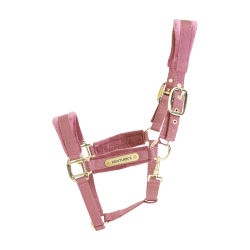 Licol Velvet Kentucky Vieux rose Licol Velvet Kentucky Vieux rose