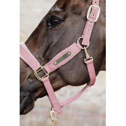 Licol Velvet Kentucky Vieux rose Licol Velvet Kentucky Vieux rose